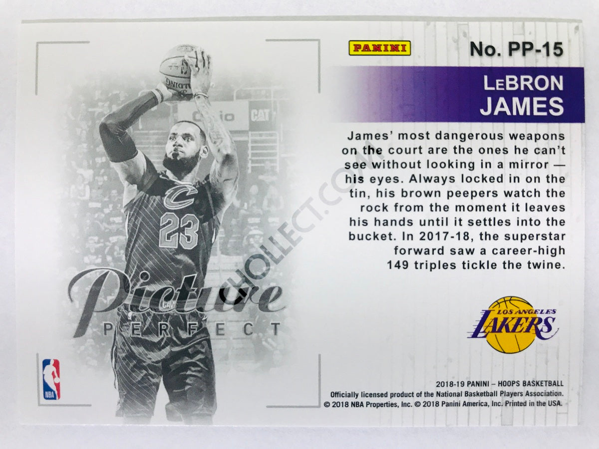LeBron James - Los Angeles Lakers 2018-19 Panini Hoops Picture Perfect #15