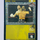 Big Show - 12-Card Lot (Foils, Superstar Card, Rare) Set B