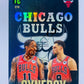 DeMar DeRozan / Zach Lavine - Chicago Bulls 2023-24 Panini Top Class Synergy #219