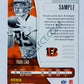 Drew Sample - Cincinnati Bengals 2019-20 Panini Absolute RC Rookie #180