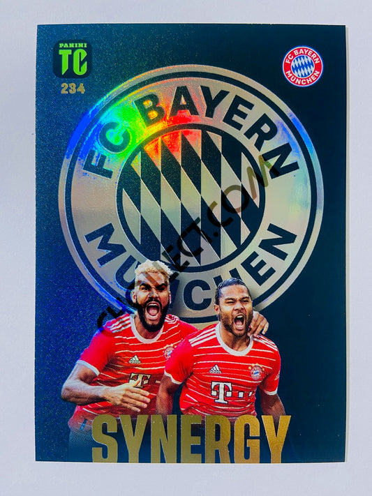 Eric Maxim Choupo-Moting / Serge Gnabry - FC Bayern München 2023 Panini Top Class Synergy #234