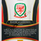 Wayne Hennessey - Wales 2017-18 Panini Select #71