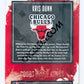 Kris Dunn - Chicago Bulls 2018-19 Panini Court Kings #36