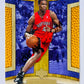 Chris Bosh - Toronto Raptors 2006-07 Upper Deck Hardcourt #92