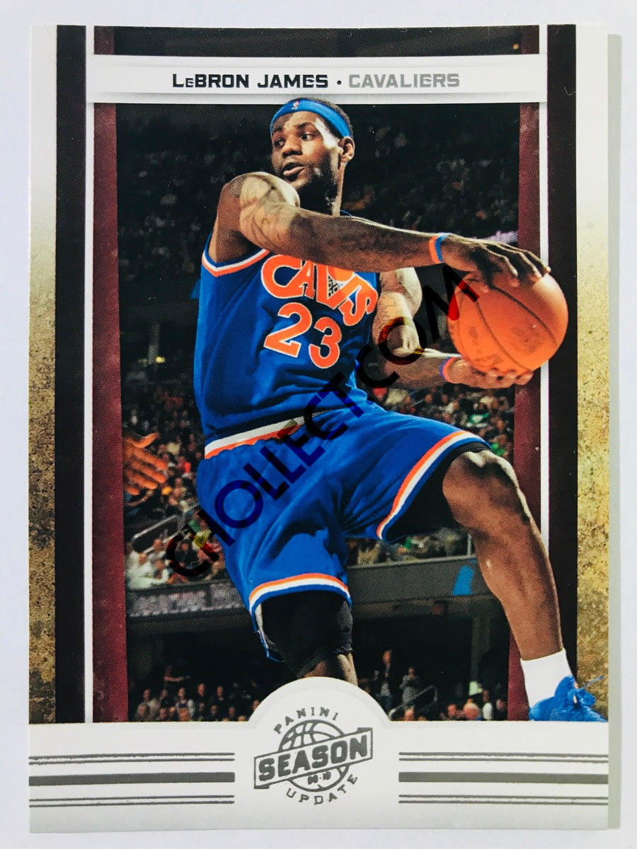 LeBron James - Cleveland Cavaliers 2010-11 Panini Season Update #17