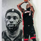 LeBron James - Miami Heat 2013-14 Panini Intrigue Intriguing Player Die Cut Parallel #4