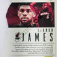 LeBron James - Miami Heat 2013-14 Panini Intrigue Intriguing Player Die Cut Parallel #4