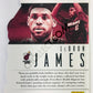 LeBron James - Miami Heat 2013-14 Panini Intrigue Intriguing Player Die Cut Parallel #9