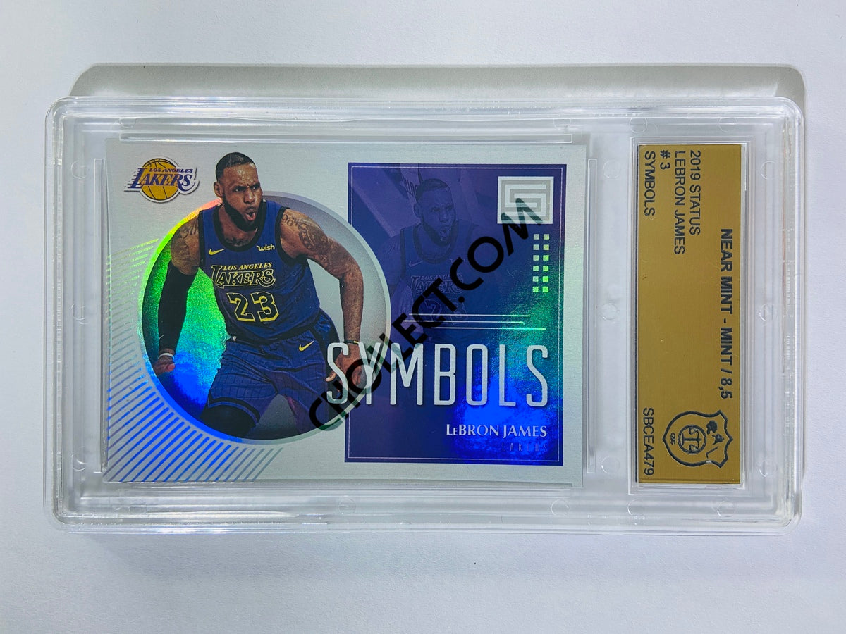 LeBron James - Los Angeles Lakers 2018-19 Panini Status Symbols #3 [GS 8.5] SN: SBCEA479
