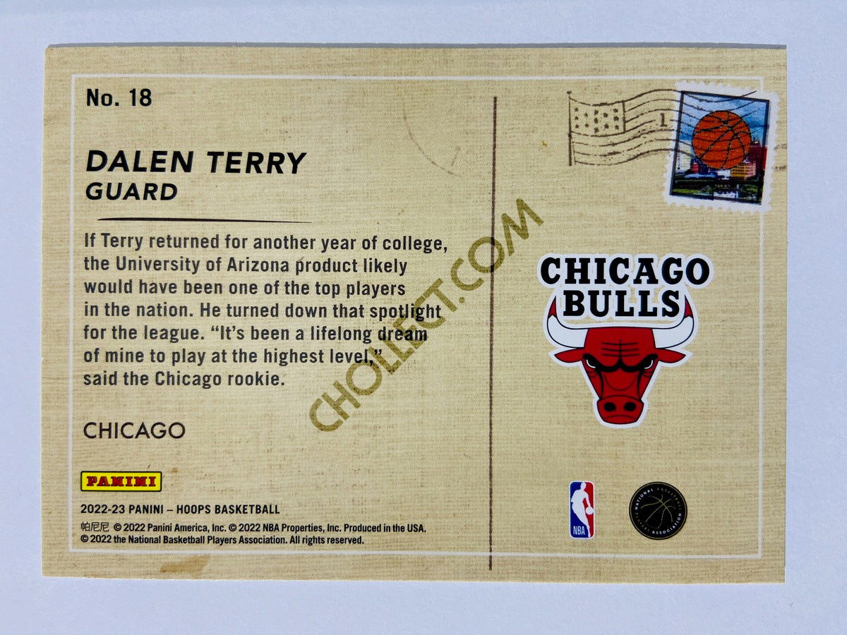 Dalen Terry - Chicago Bulls 2022-23 Panini Hoops Rookie Greetings Insert #18