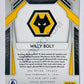 Willy Boly - Wolverhampton Wanderers 2020-21 Panini Prizm Premier League #139